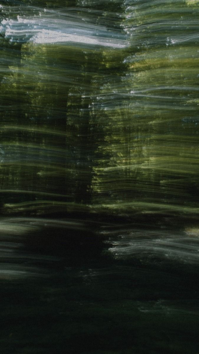 Textura orgánica en tonos verdes con movimiento desenfocado.